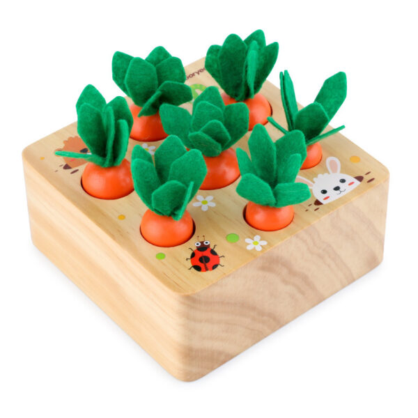 Early Childhood Educational toys, wooden toys for toddlers