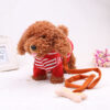 Singing Dog/20 songs, walking, singing, twisting/Performing Dog - Image 4