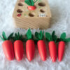 Early Childhood Educational toys, wooden toys for toddlers - Image 3